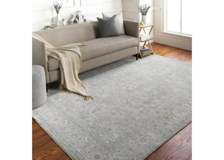 Avant Garde AVT-2301 2'7" x 7'3" Rug