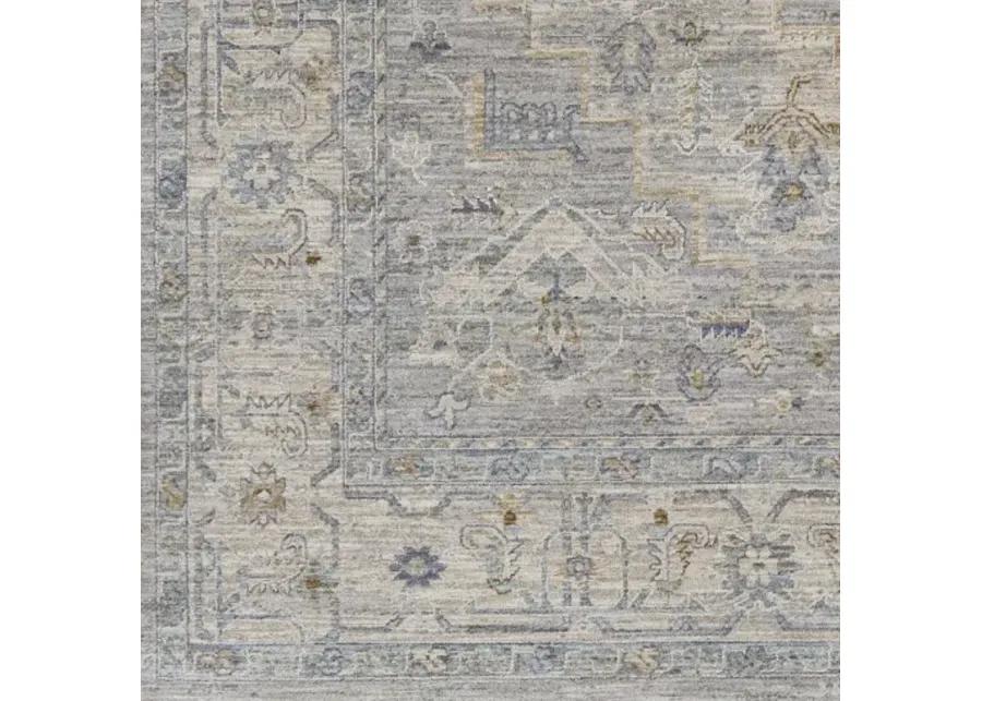 Avant Garde AVT-2301 2'7" x 7'3" Rug