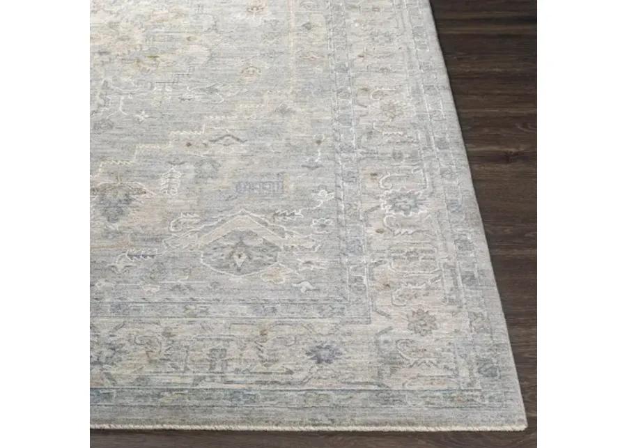 Avant Garde AVT-2301 2'7" x 7'3" Rug