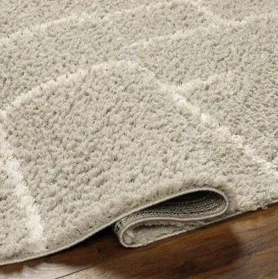 Maryland Shag MSG-2307 5'3" x 7' Machine Woven Rug