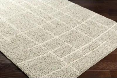 Maryland Shag MSG-2307 5'3" x 7' Machine Woven Rug