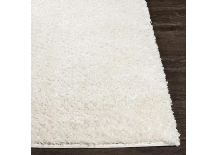 Deluxe Shag 4'3" x 5'7" Rug