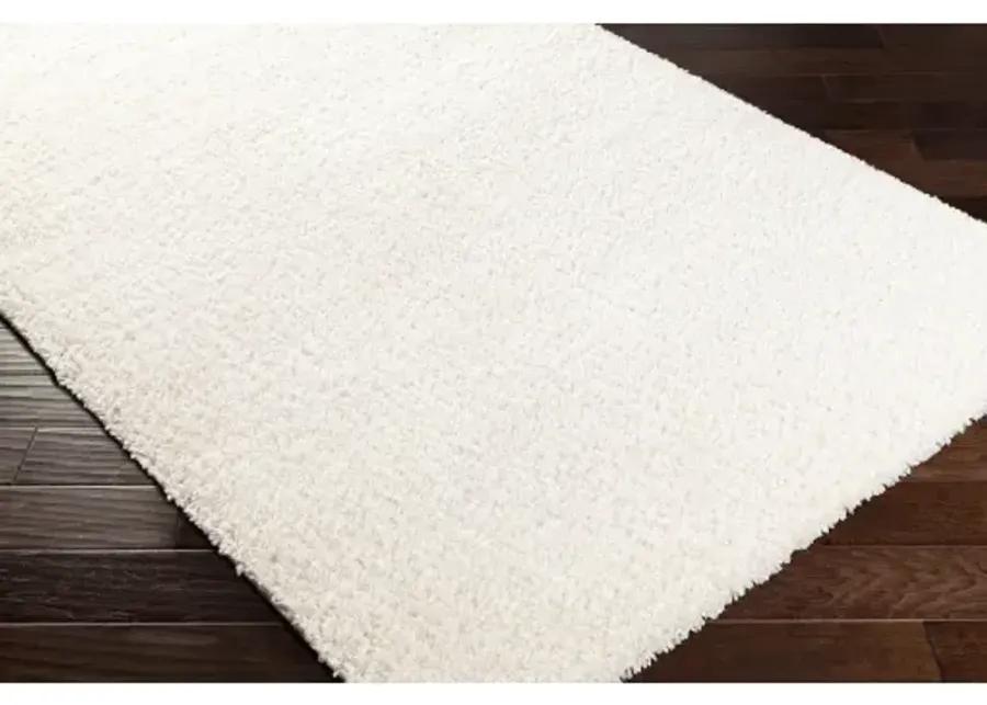 Deluxe Shag 4'3" x 5'7" Rug