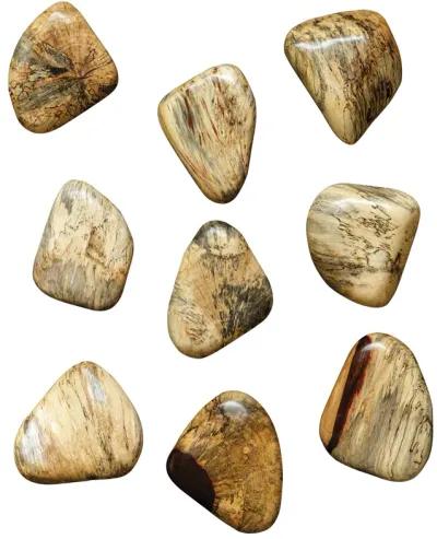 Pebbles Blonde Wall Decor - Set of 9