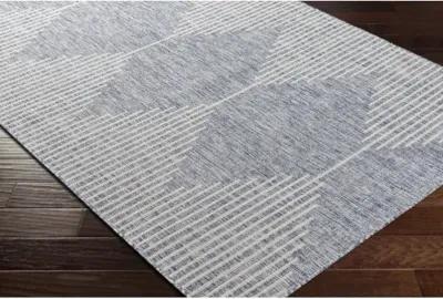 Eagean EAG-2417 2'7" x 10' Rug