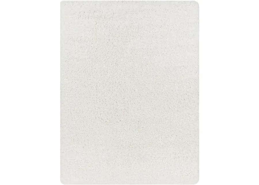 Bogota Shag BTG-2300 6'7" x 9' Machine Woven Rug