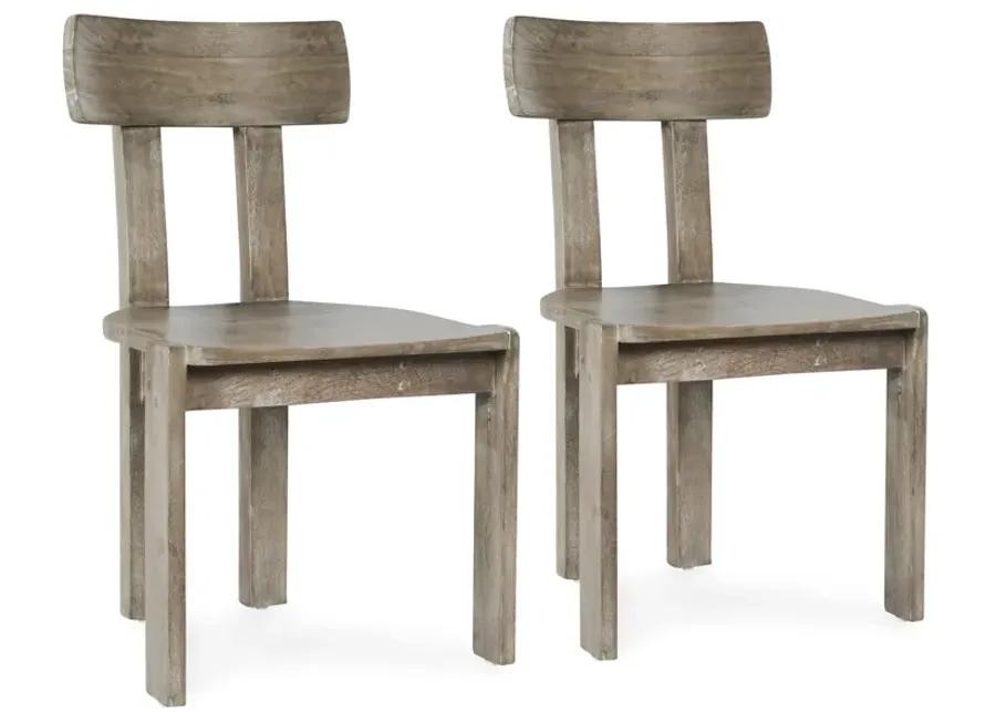 Sedia Set of Two Solid Wood Mango Dining Chair in Ash