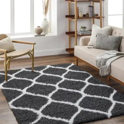 Urban Shag USG-2322 5'3" x 7'3" Machine Woven Rug