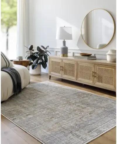 Darling BODA-2302 2'7" x 10' Machine Woven Rug