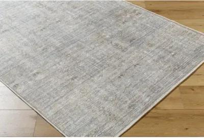 Darling BODA-2302 2'7" x 10' Machine Woven Rug