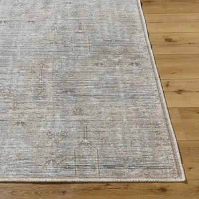 Darling BODA-2302 2'7" x 10' Machine Woven Rug