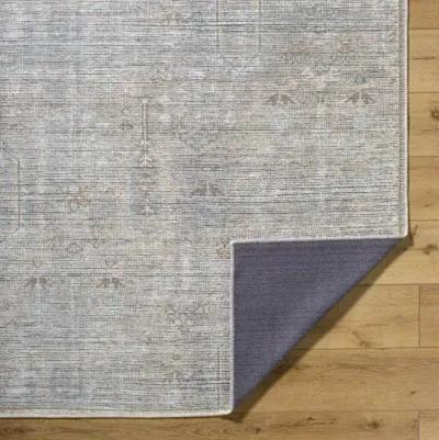 Darling BODA-2302 2'7" x 10' Machine Woven Rug