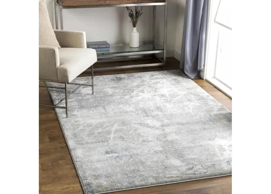 Brunswick BWK-2306 2'7" x 7'3" Rug