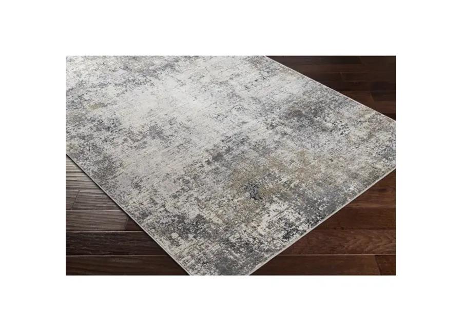 Norland 10' x 14' Rug