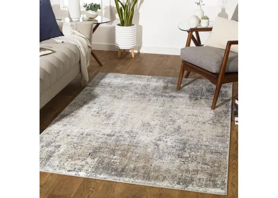 Norland 10' x 14' Rug