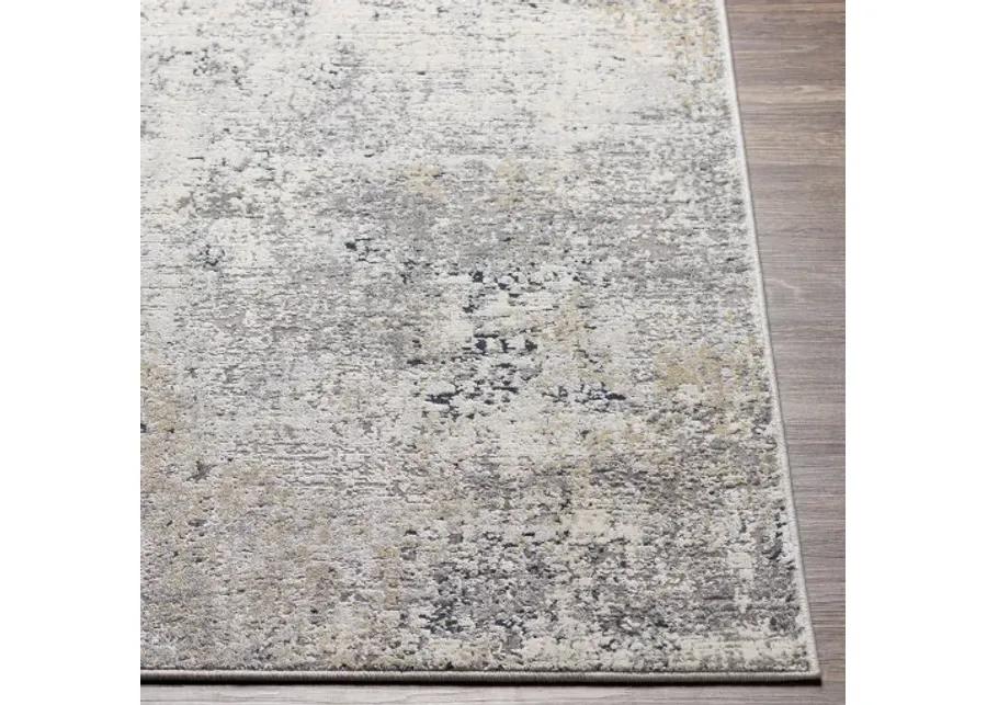 Norland 10' x 14' Rug