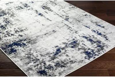 Pisa PSS-2372 5' x 7' Machine Woven Rug