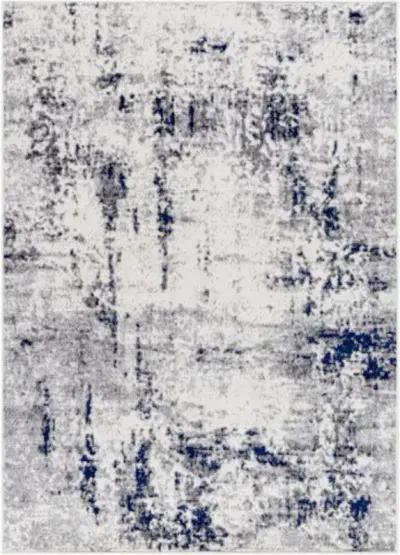 Pisa PSS-2372 5' x 7' Machine Woven Rug