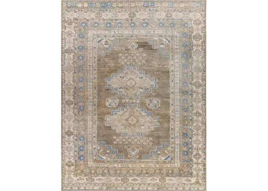 Colin CLN-2303 2'7" x 7'3" Rug