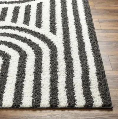 Birmingham BMM-2304 7'10" x 10' Machine Woven Rug