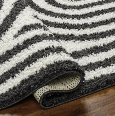 Birmingham BMM-2304 7'10" x 10' Machine Woven Rug