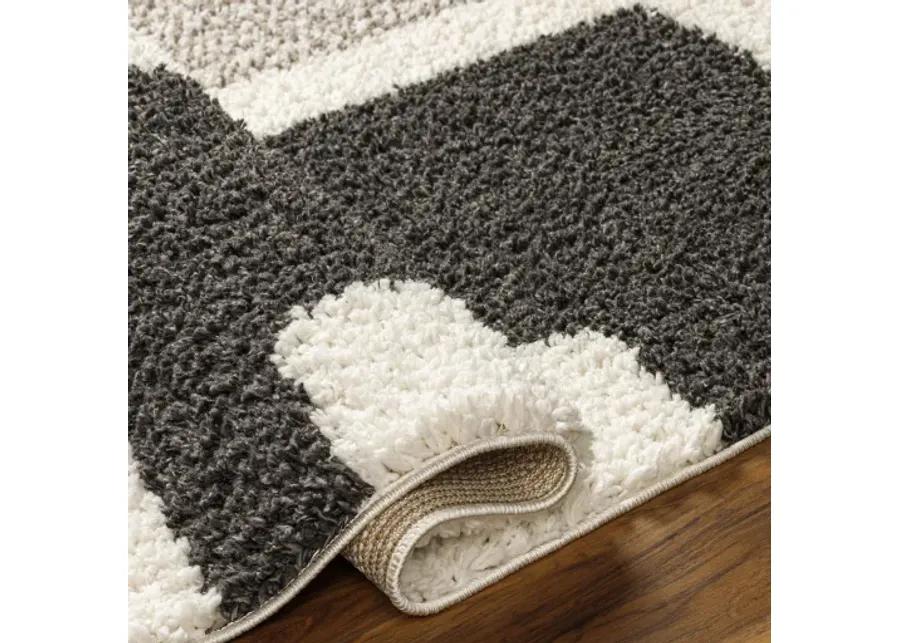 Birmingham BMM-2316 5'3" x 7' Machine Woven Rug