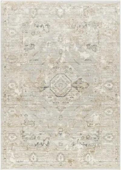 Edmonton EDO-2302 5'3" x 7' Machine Woven Rug