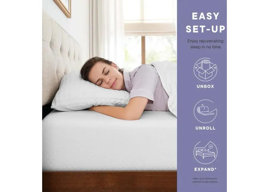 Mila 12" Full Mattress