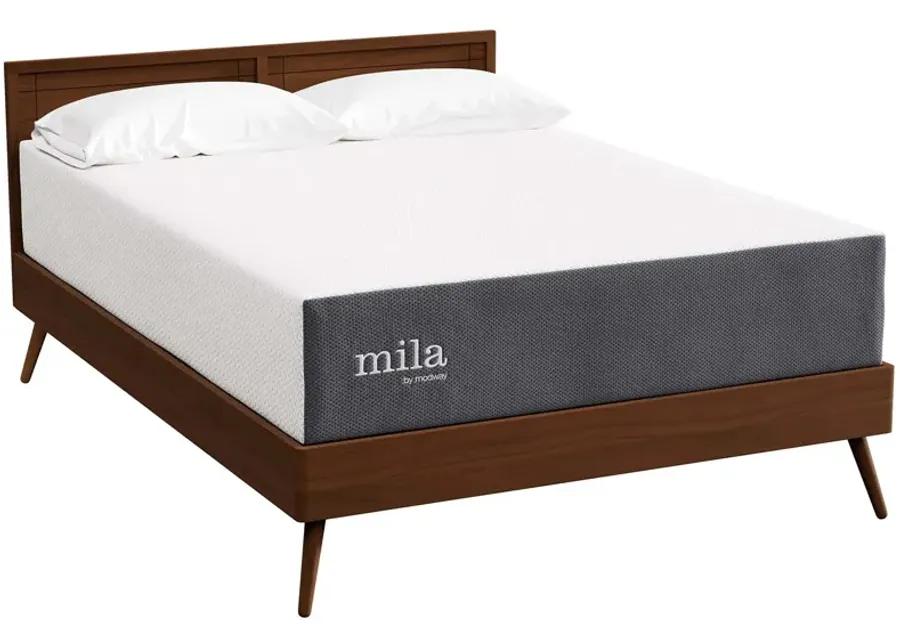 Mila 12" Full Mattress