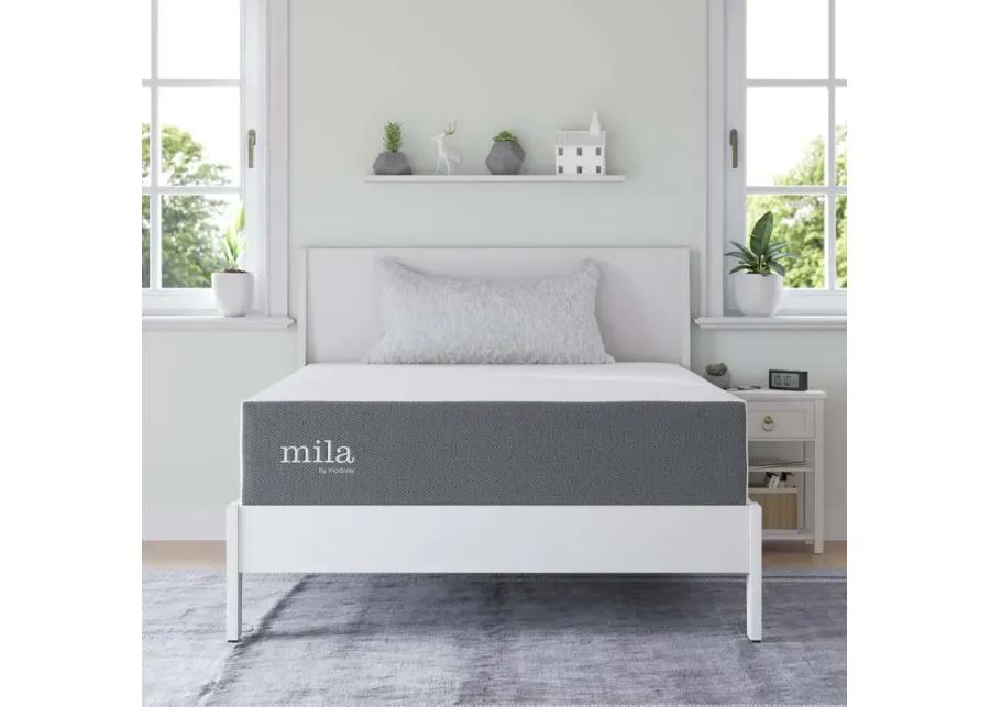 Mila 12" Full Mattress