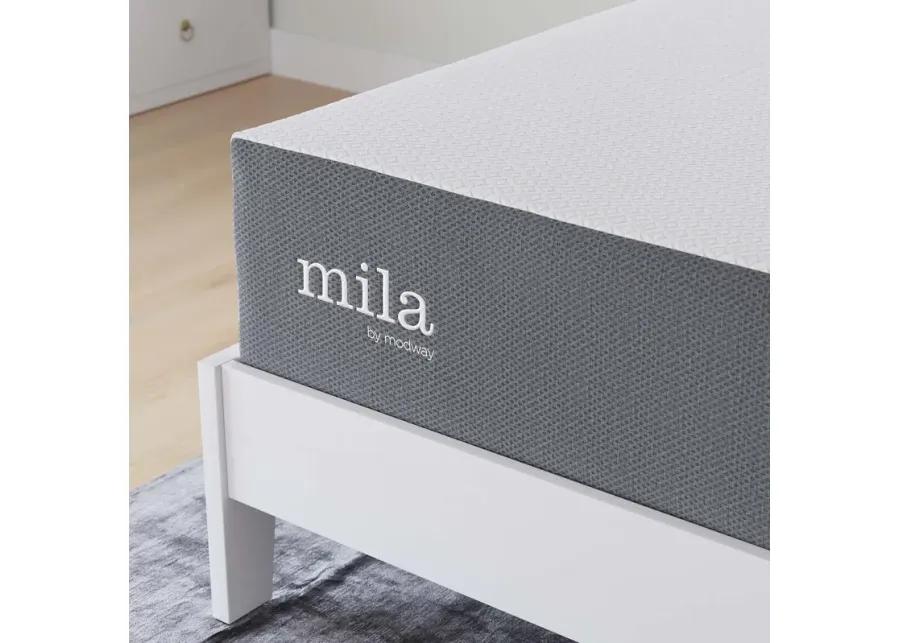 Mila 12" Full Mattress