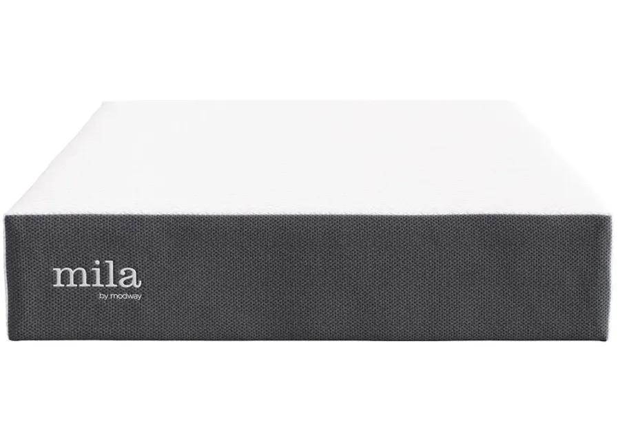 Mila 12" Full Mattress