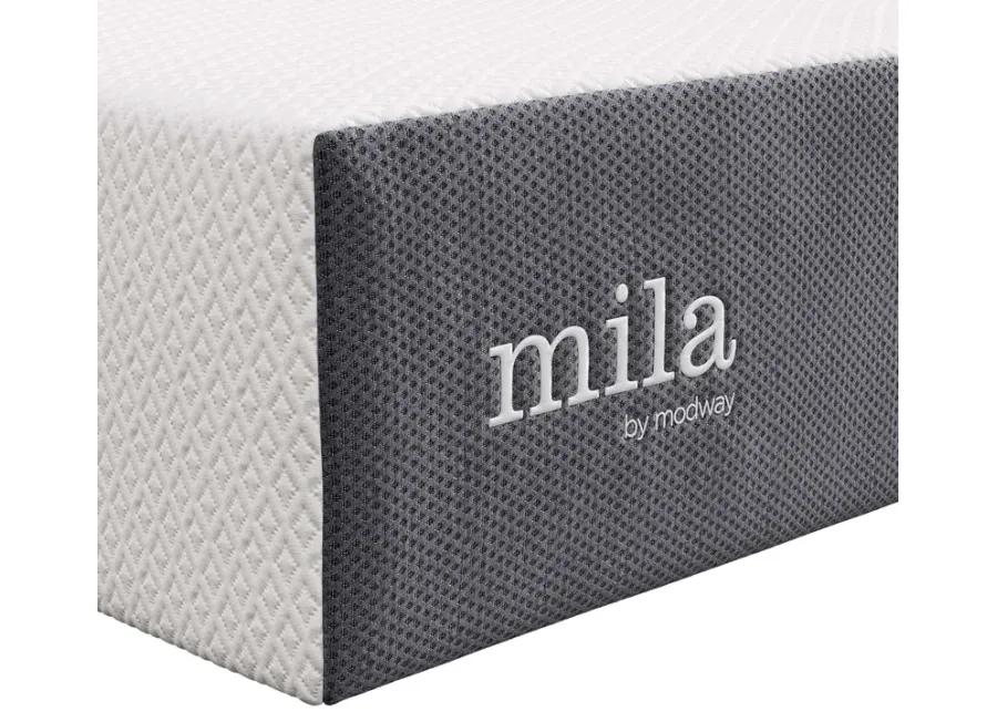 Mila 12" Full Mattress