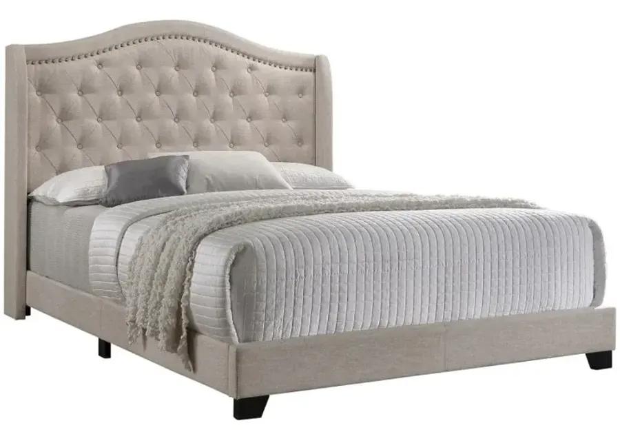 Sonoma Camel Back Queen Bed Beige