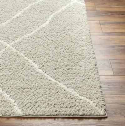 Maryland Shag MSG-2303 6'7" x 9' Machine Woven Rug