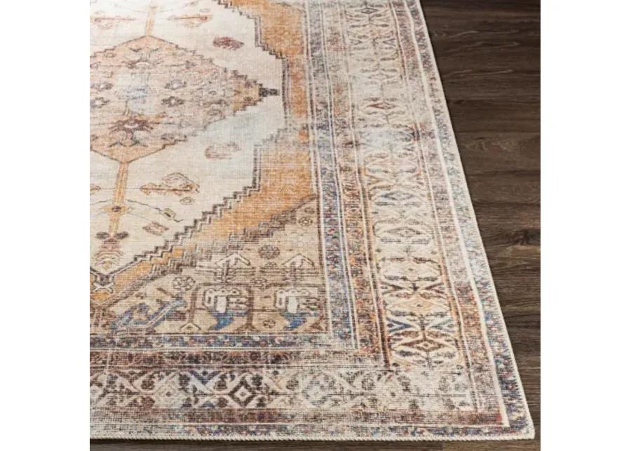 Amelie AML-2312 2'7" x 7'10" Rug