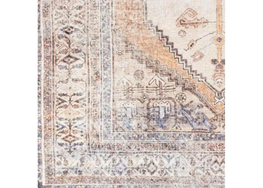 Amelie AML-2312 2'7" x 7'10" Rug