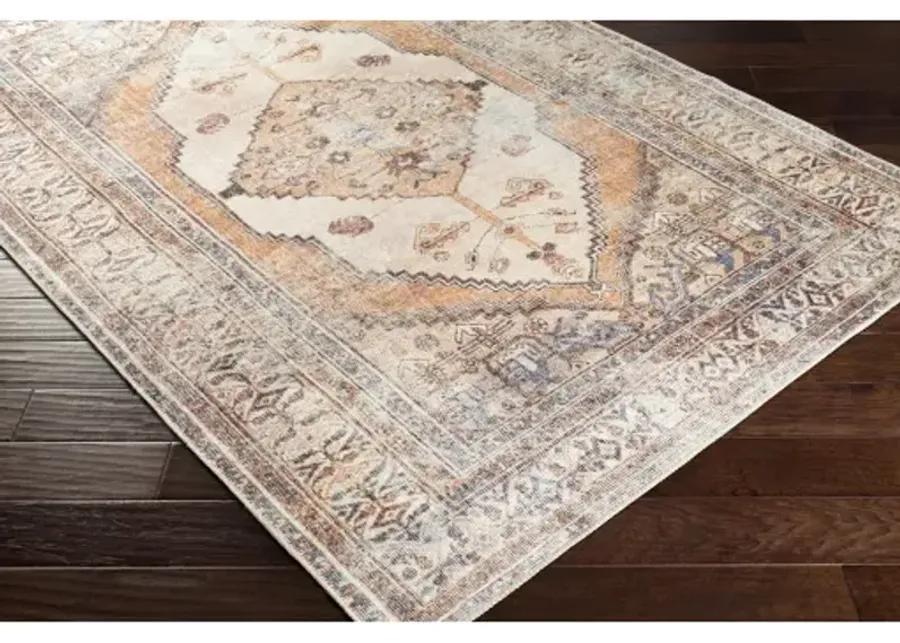 Amelie AML-2312 2'7" x 7'10" Rug