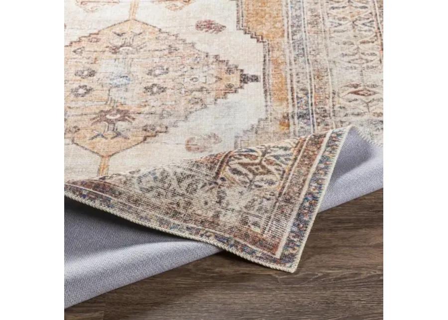 Amelie AML-2312 2'7" x 7'10" Rug