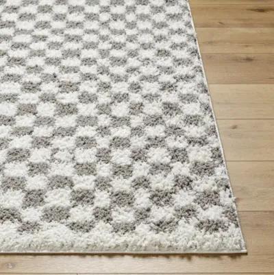 Birmingham BMM-2321 7'10" x 10' Machine Woven Rug