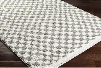 Birmingham BMM-2321 7'10" x 10' Machine Woven Rug