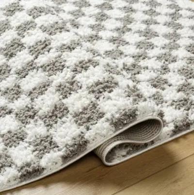 Birmingham BMM-2321 7'10" x 10' Machine Woven Rug