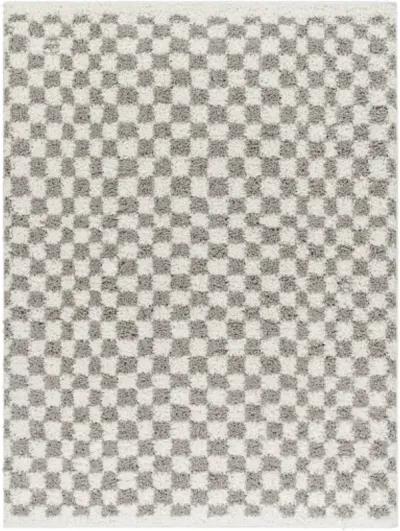 Birmingham BMM-2321 7'10" x 10' Machine Woven Rug