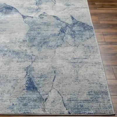 Norland 7'10" x 10' Rug