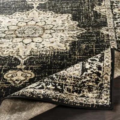 Paramount 7'10" x 11'2" Rug