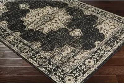 Paramount 7'10" x 11'2" Rug