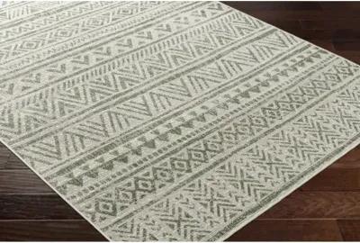 Eagean EAG-2429 2'7" x 12' Machine Woven Rug