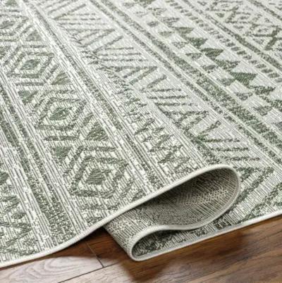 Eagean EAG-2429 2'7" x 12' Machine Woven Rug