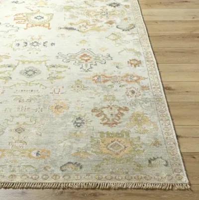 Shiraz SHZ-2301 2' x 3' Handmade Rug