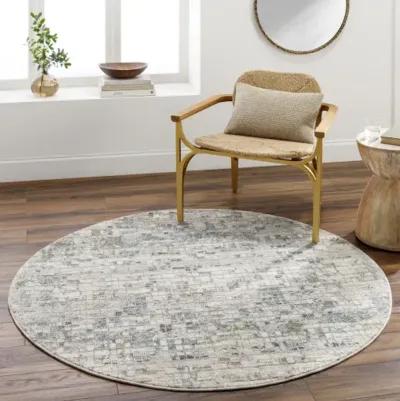 Dresden DRE-2304 12' x 15' Machine Woven Rug